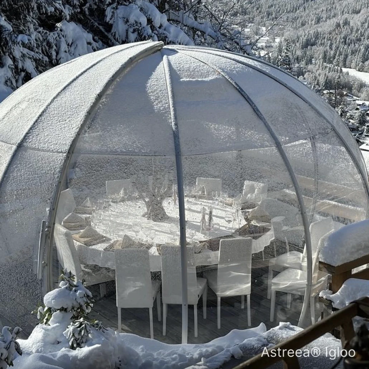 Беседка тип Иглу с поликарбонат Astreea - Галерия 7