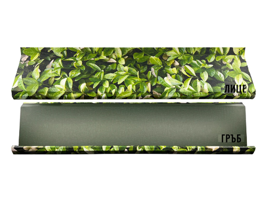 zeta borovinka - Галерия 1