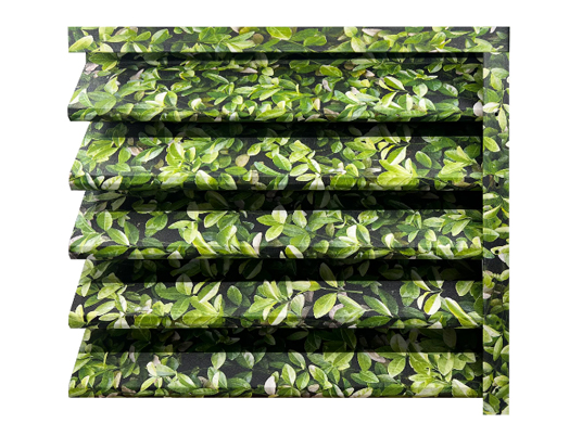 zeta borovinka - Галерия 2