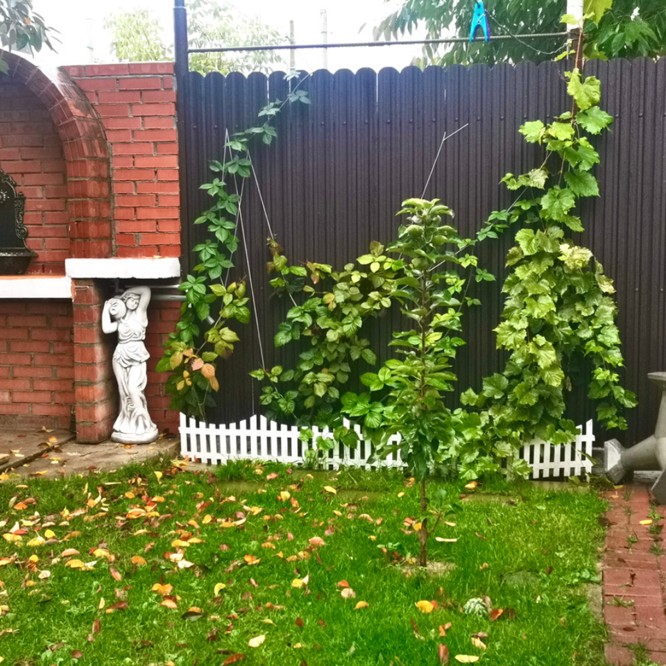 brown ral 8019 bgm - Галерия 4