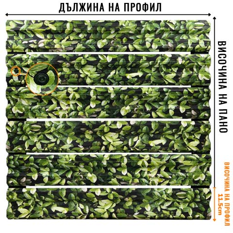 ednolicev_borovinka - Галерия 1