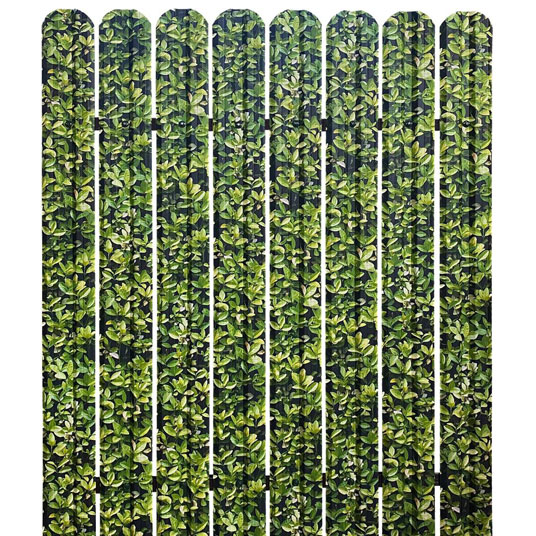 ednolicev_borovinka - Галерия 3